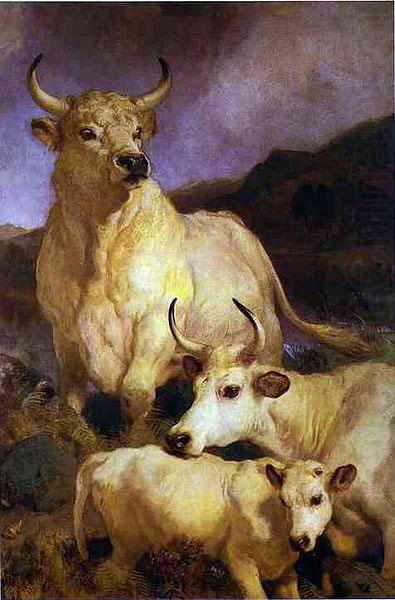 The wild cattle of Chillingham, 1867, Sir edwin henry landseer,R.A.